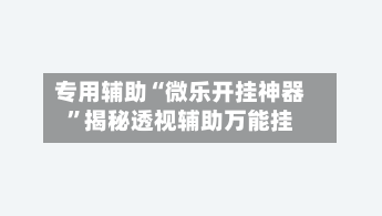 专用辅助“微乐开挂神器”揭秘透视辅助万能挂-第2张图片