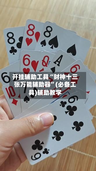 开挂辅助工具“财神十三张万能辅助器”(必备工具)辅助教学