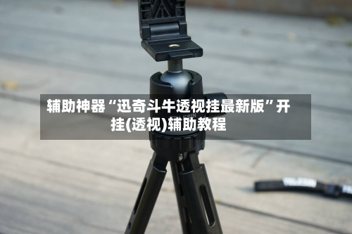 辅助神器“迅奇斗牛透视挂最新版”开挂(透视)辅助教程