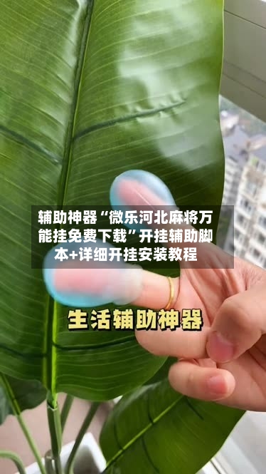 辅助神器“微乐河北麻将万能挂免费下载”开挂辅助脚本+详细开挂安装教程-第2张图片