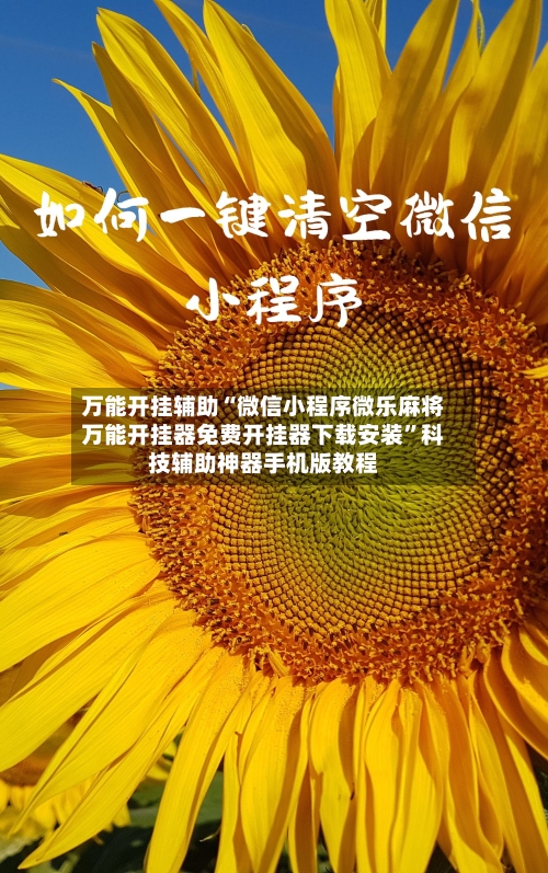 万能开挂辅助“微信小程序微乐麻将万能开挂器免费开挂器下载安装”科技辅助神器手机版教程-第2张图片