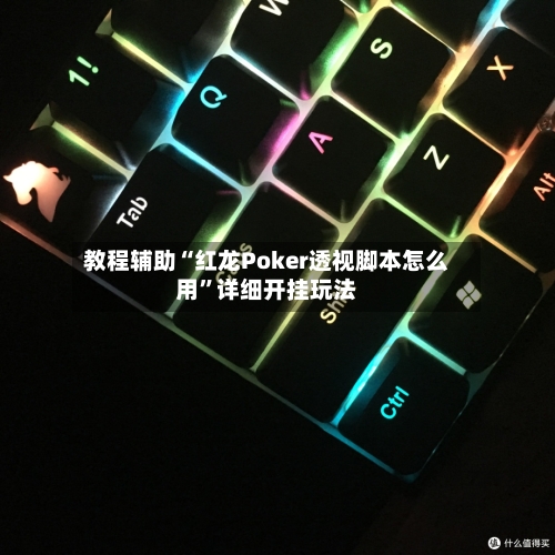 教程辅助“红龙Poker透视脚本怎么用”详细开挂玩法