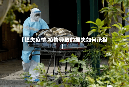 【损失疫情,疫情导致的损失如何承担】-第2张图片