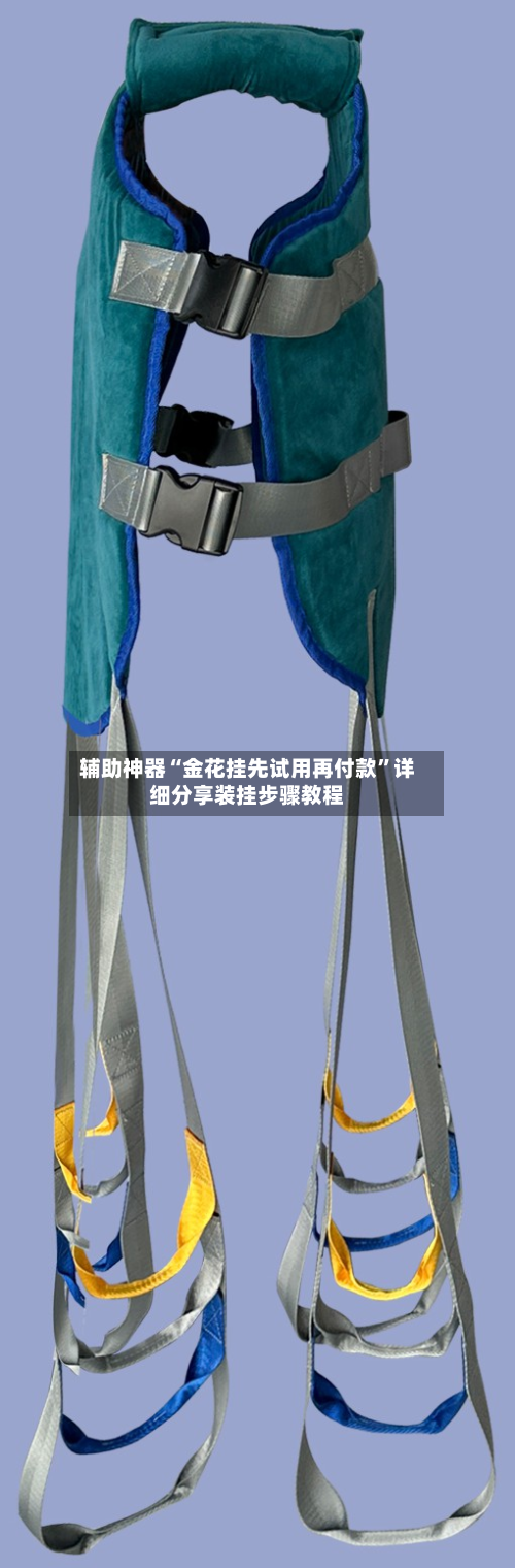 辅助神器“金花挂先试用再付款”详细分享装挂步骤教程-第2张图片