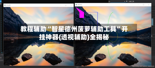 教程辅助“智星德州菠萝辅助工具”开挂神器{透视辅助}全揭秘
