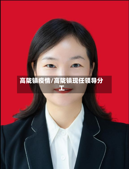 高陇镇疫情/高陇镇现任领导分工-第2张图片