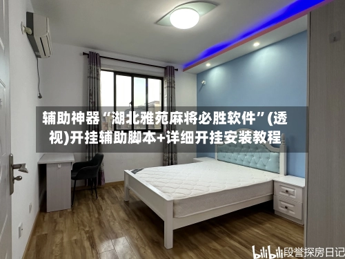 辅助神器“湖北雅苑麻将必胜软件”(透视)开挂辅助脚本+详细开挂安装教程-第3张图片