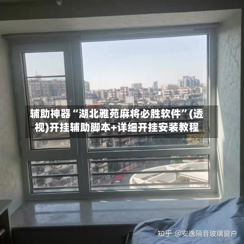 辅助神器“湖北雅苑麻将必胜软件”(透视)开挂辅助脚本+详细开挂安装教程-第2张图片