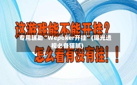 专用辅助“Wepoker开挂”(曝光透视必备猫腻)