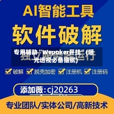 专用辅助“Wepoker开挂”(曝光透视必备猫腻)-第2张图片