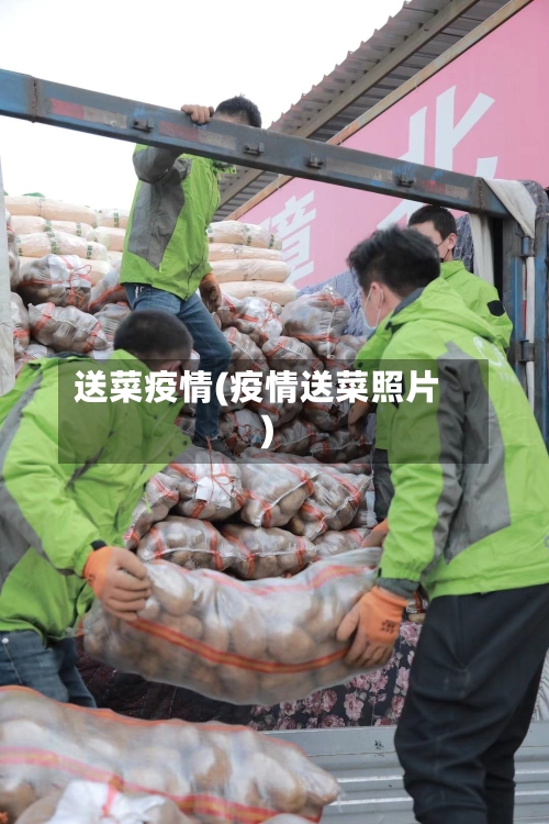 送菜疫情(疫情送菜照片)-第2张图片