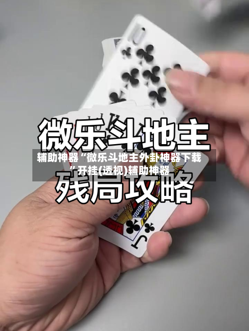 辅助神器“微乐斗地主外卦神器下载”开挂(透视)辅助神器