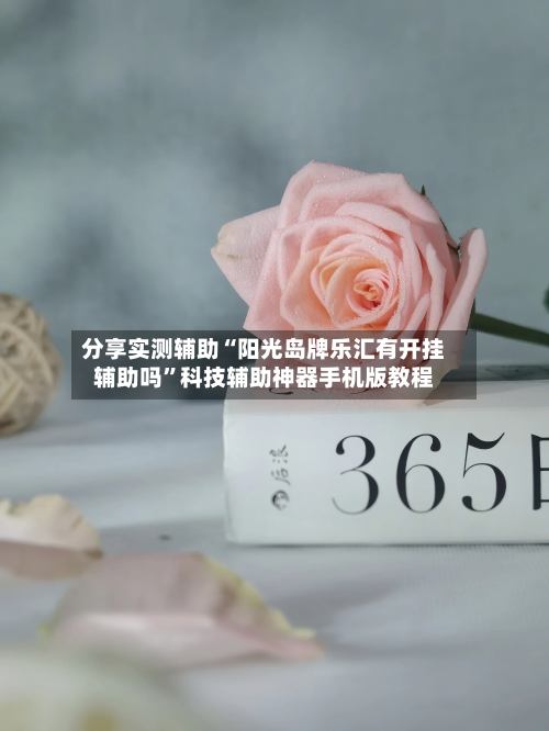 分享实测辅助“阳光岛牌乐汇有开挂辅助吗	”科技辅助神器手机版教程-第2张图片