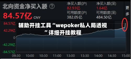 辅助开挂工具“wepoker私人局透视”详细开挂教程