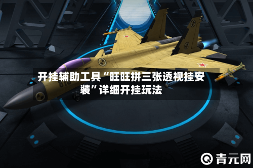 开挂辅助工具“旺旺拼三张透视挂安装”详细开挂玩法-第3张图片