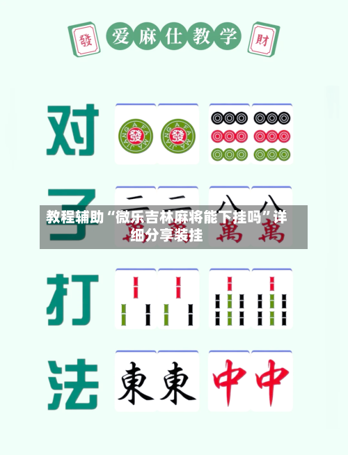 教程辅助“微乐吉林麻将能下挂吗”详细分享装挂-第3张图片