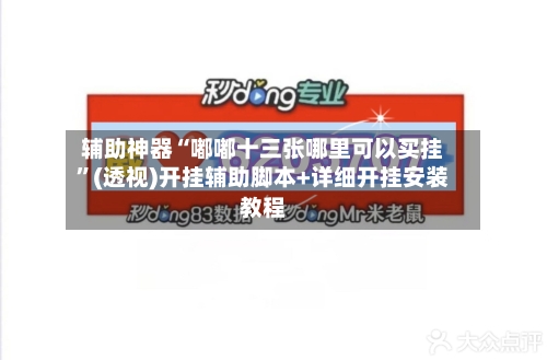 辅助神器“嘟嘟十三张哪里可以买挂”(透视)开挂辅助脚本+详细开挂安装教程-第2张图片