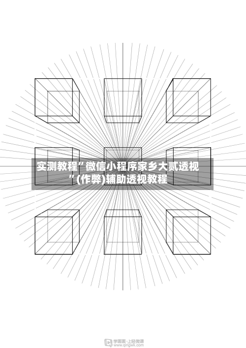 实测教程”微信小程序家乡大贰透视”(作弊)辅助透视教程-第2张图片