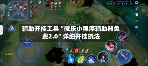 辅助开挂工具“微乐小程序辅助器免费2.0”详细开挂玩法