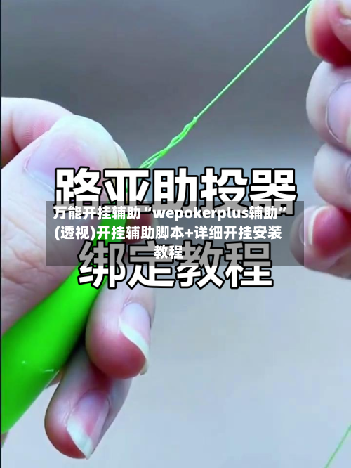 万能开挂辅助“wepokerplus辅助”(透视)开挂辅助脚本+详细开挂安装教程-第2张图片