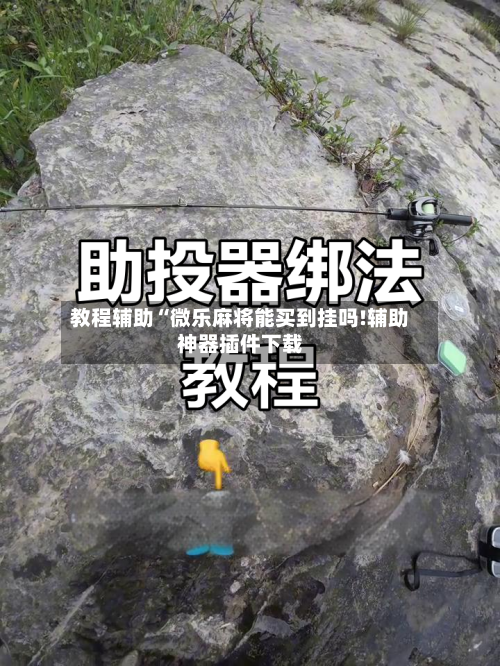 教程辅助“微乐麻将能买到挂吗!辅助神器插件下载-第2张图片