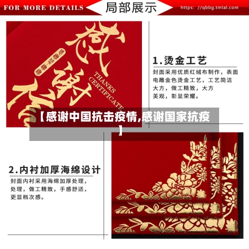 【感谢中国抗击疫情,感谢国家抗疫】-第3张图片