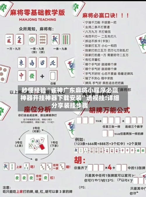 秒懂经验“雀神广东麻将小程序必赢神器开挂神器下载安装”透视挂!详细分享装挂步骤-第2张图片