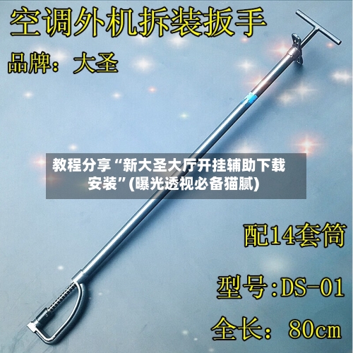 教程分享“新大圣大厅开挂辅助下载安装”(曝光透视必备猫腻)