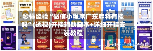 秒懂经验“微信小程序广东麻将有挂吗”(透视)开挂辅助脚本+详细开挂安装教程-第2张图片