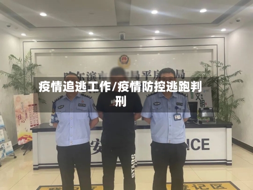 疫情追逃工作/疫情防控逃跑判刑