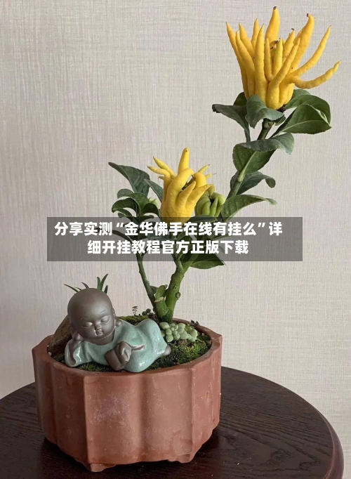 分享实测“金华佛手在线有挂么”详细开挂教程官方正版下载