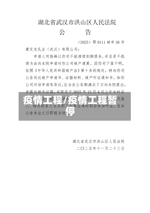 疫情工程/疫情工程暂停-第2张图片