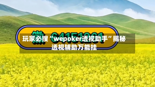 玩家必搜“wepoker透视助手	”揭秘透视辅助万能挂-第2张图片