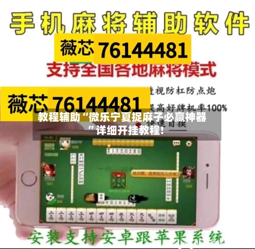 教程辅助“微乐宁夏捉麻子必赢神器	”详细开挂教程!-第2张图片