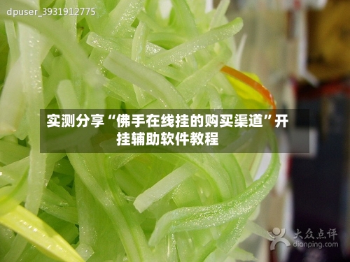 实测分享“佛手在线挂的购买渠道”开挂辅助软件教程