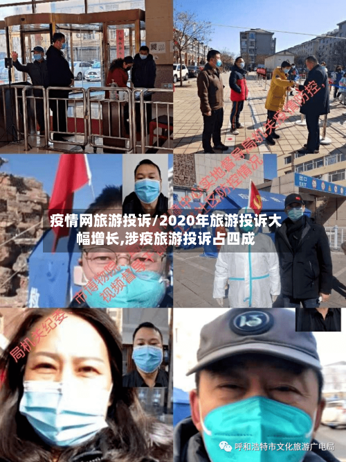 疫情网旅游投诉/2020年旅游投诉大幅增长,涉疫旅游投诉占四成-第2张图片