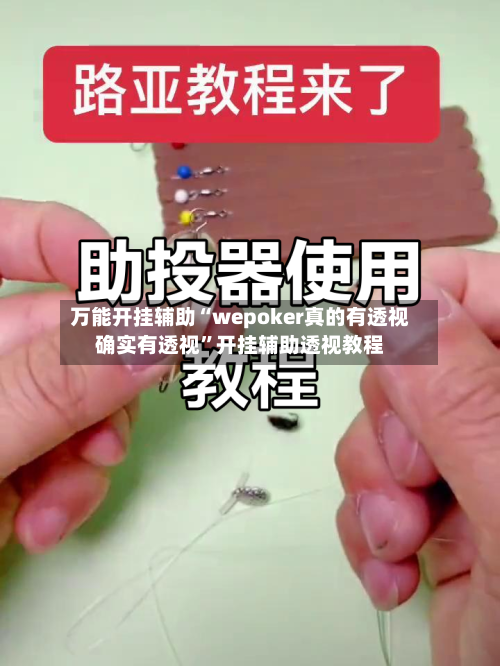 万能开挂辅助“wepoker真的有透视确实有透视”开挂辅助透视教程-第2张图片