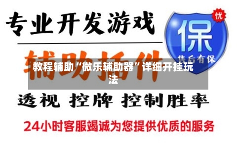 教程辅助“微乐辅助器”详细开挂玩法-第2张图片