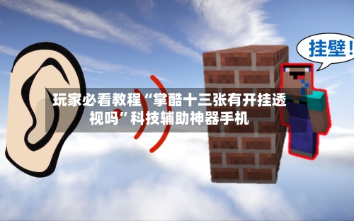 玩家必看教程“掌酷十三张有开挂透视吗”科技辅助神器手机-第2张图片