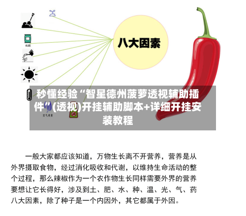 秒懂经验“智星德州菠萝透视辅助插件”(透视)开挂辅助脚本+详细开挂安装教程