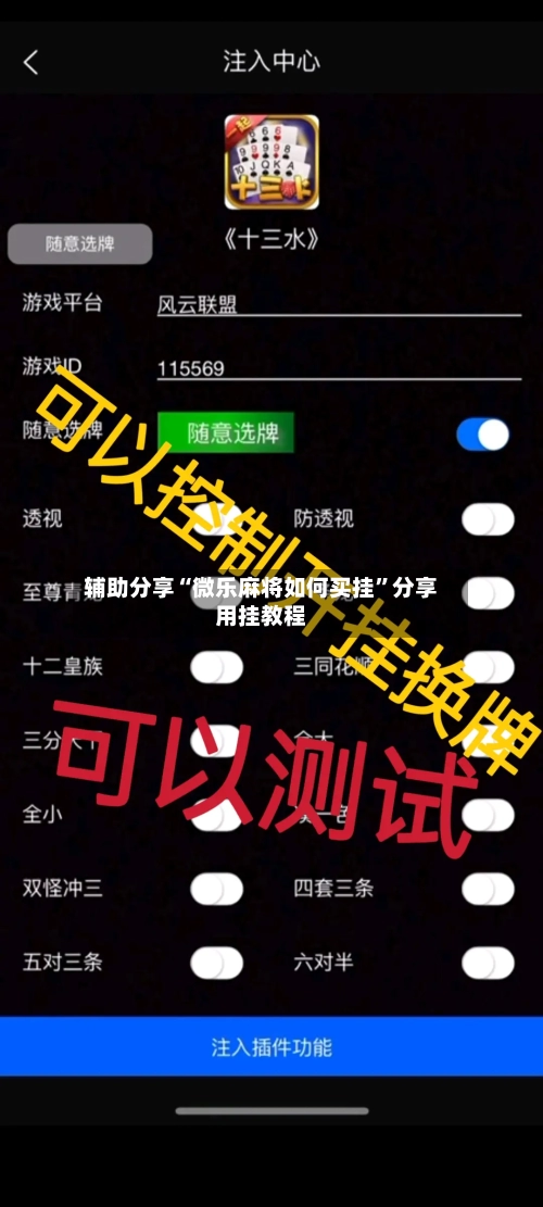 辅助分享“微乐麻将如何买挂”分享用挂教程