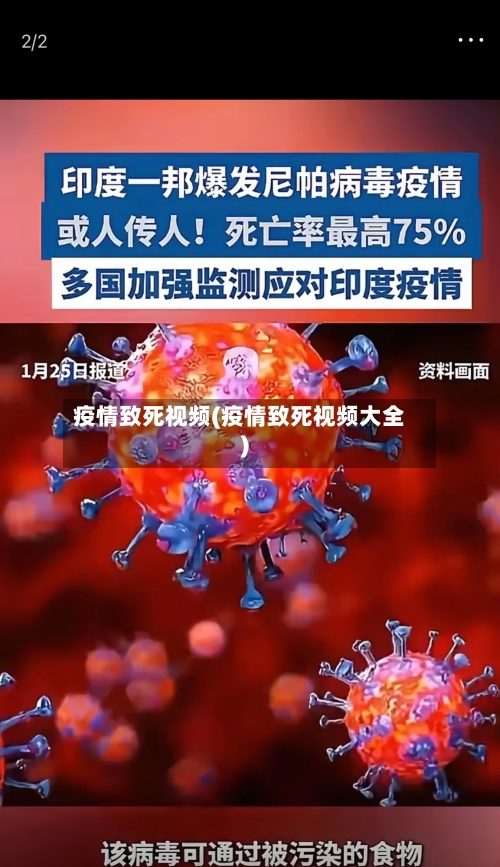 疫情致死视频(疫情致死视频大全)