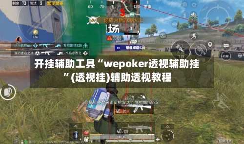 开挂辅助工具“wepoker透视辅助挂”(透视挂)辅助透视教程-第2张图片