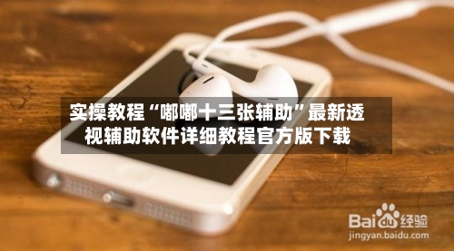 实操教程“嘟嘟十三张辅助”最新透视辅助软件详细教程官方版下载-第3张图片