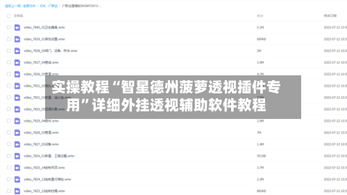 实操教程“智星德州菠萝透视插件专用”详细外挂透视辅助软件教程-第3张图片