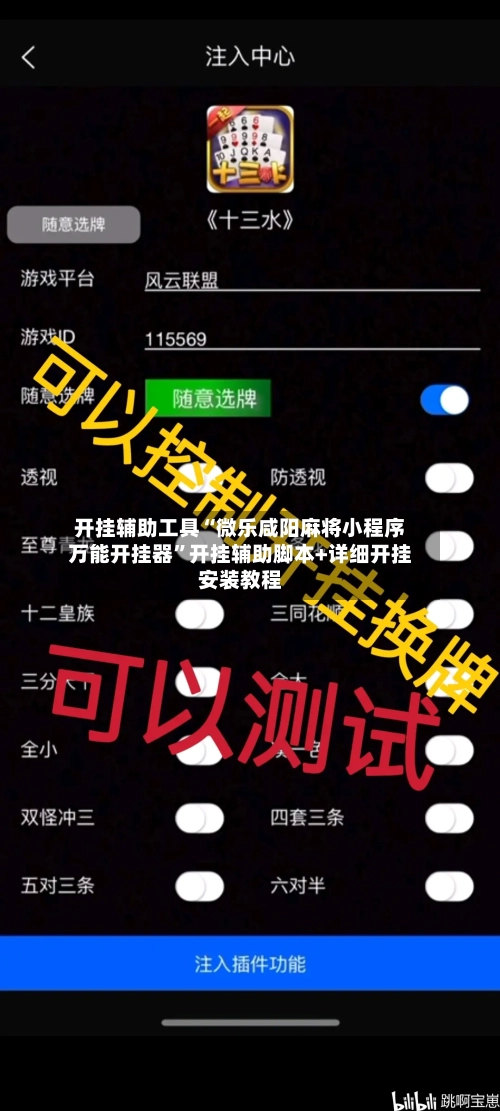 开挂辅助工具“微乐咸阳麻将小程序万能开挂器”开挂辅助脚本+详细开挂安装教程-第2张图片