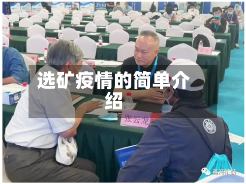 选矿疫情的简单介绍-第2张图片