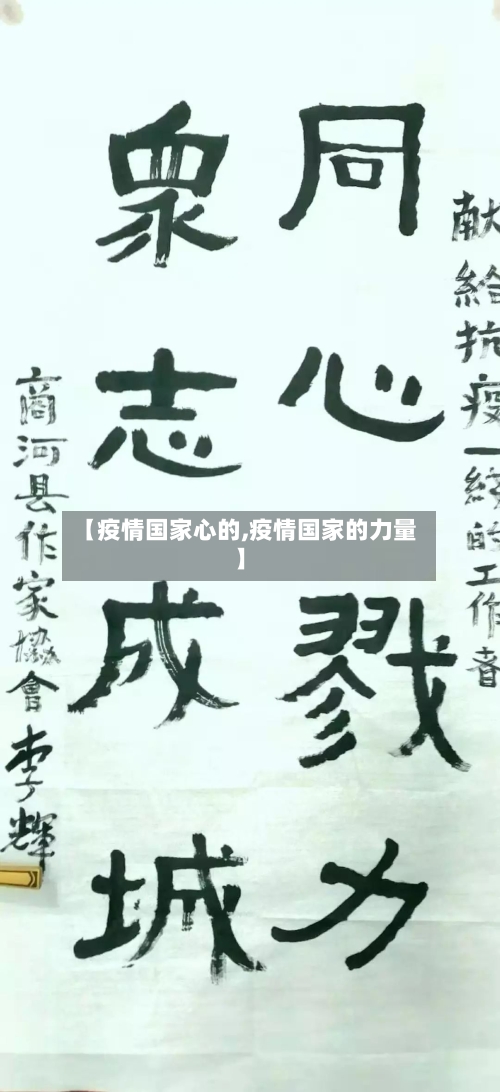 【疫情国家心的,疫情国家的力量】