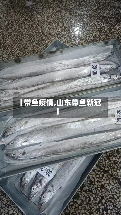 【带鱼疫情,山东带鱼新冠】-第3张图片