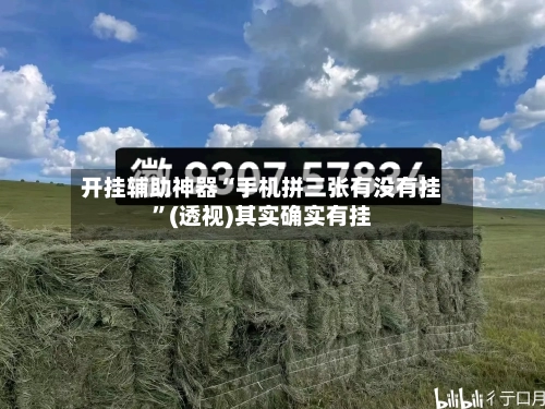开挂辅助神器“手机拼三张有没有挂”(透视)其实确实有挂-第2张图片